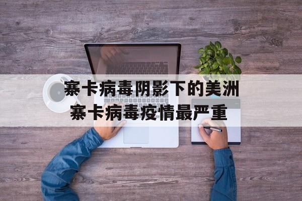 寨卡病毒阴影下的美洲 寨卡病毒疫情最严重